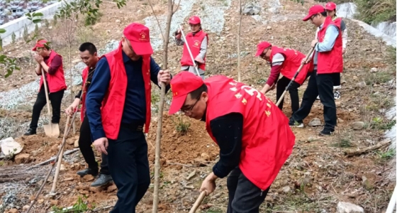 村企共建，共植先锋林