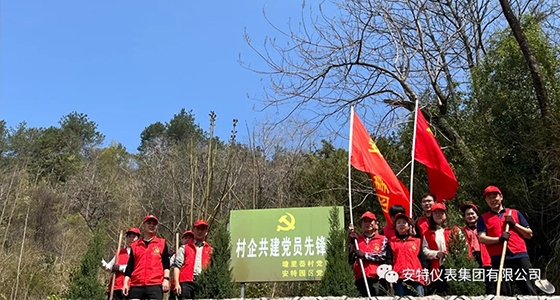 党建强引领，共植先锋林